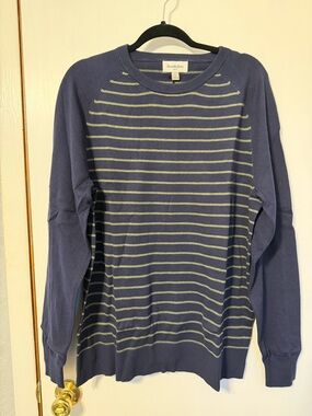 Target Men's Navy Crewneck Sweater with Light Gray Stripes